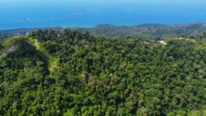 Foto 5-3-24, 2 37 40 p. m. (2)